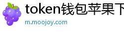 token钱包苹果下载地址_token钱包官网_以太坊和比特币区块链钱包